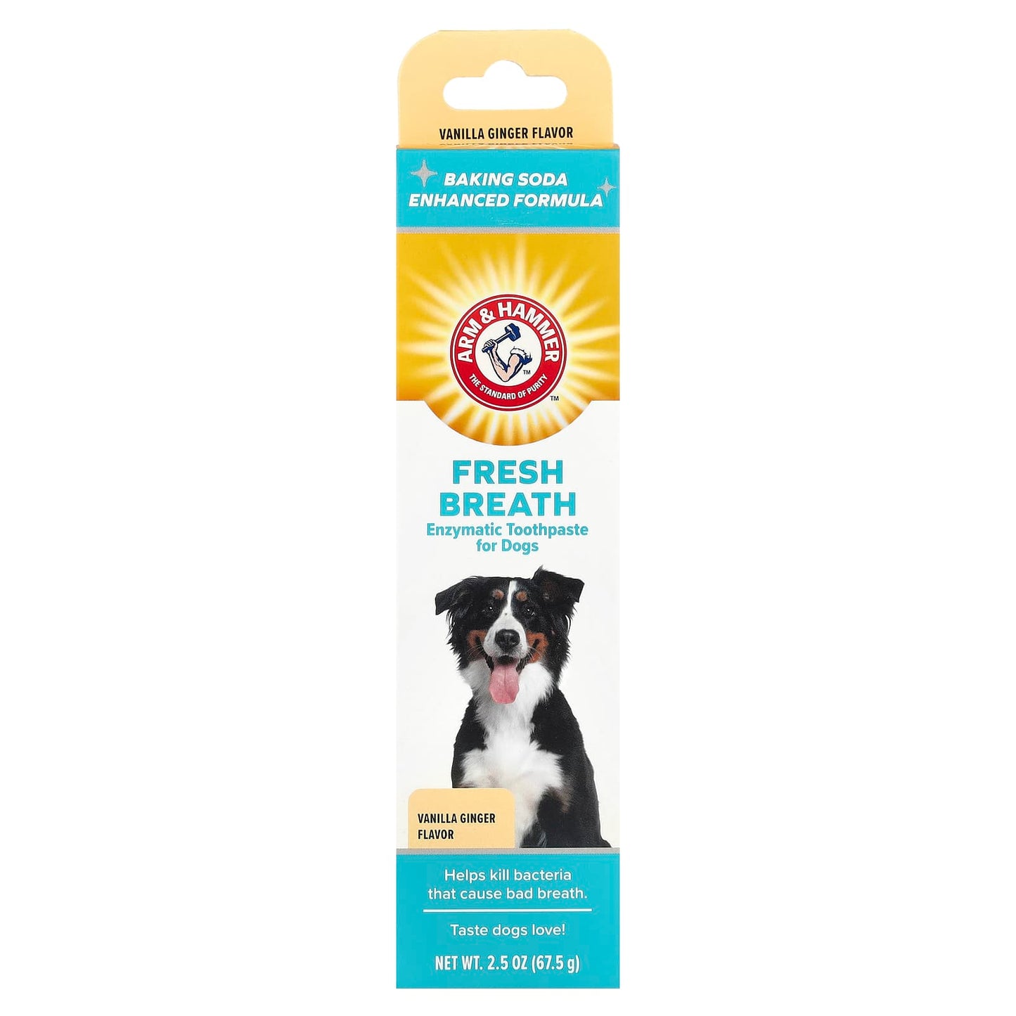 Arm & Hammer Vanilla Ginger Dog Toothpaste for Fresh Breath, 2.5 oz - Image 2