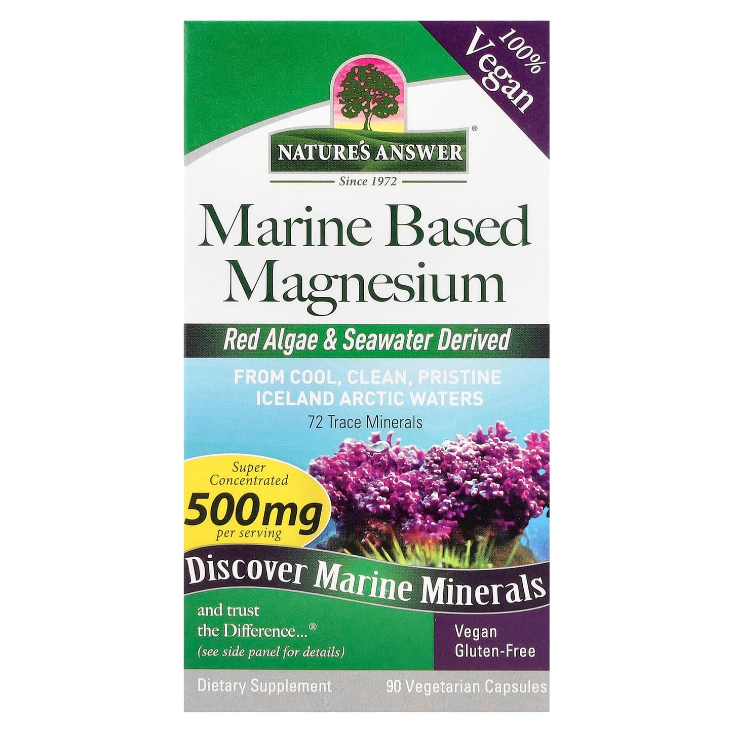 Nature's Answer, Marine Based Magnesium, 90 Vegetarian Capsules - Image 1