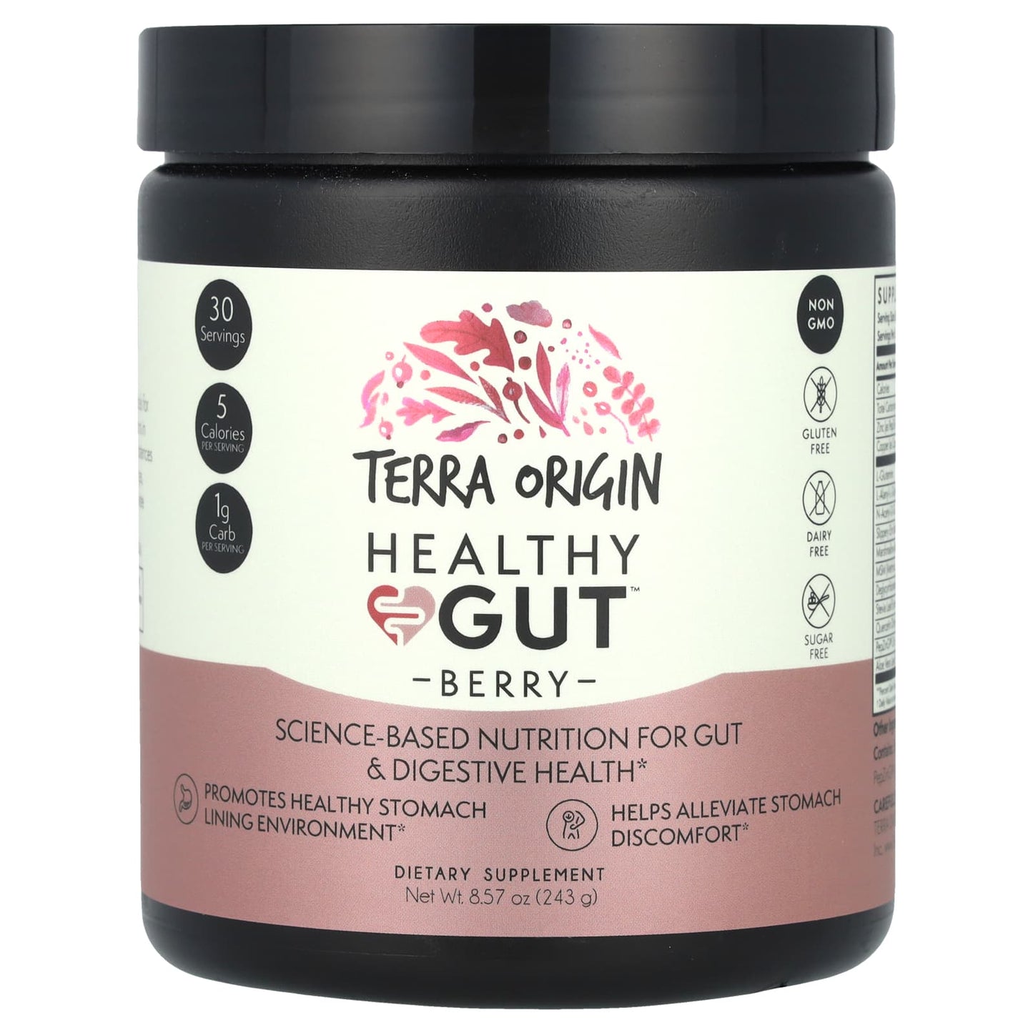 Terra Origin, Healthy Gut™, Berry, 8.57 oz (243 g) - Image 1
