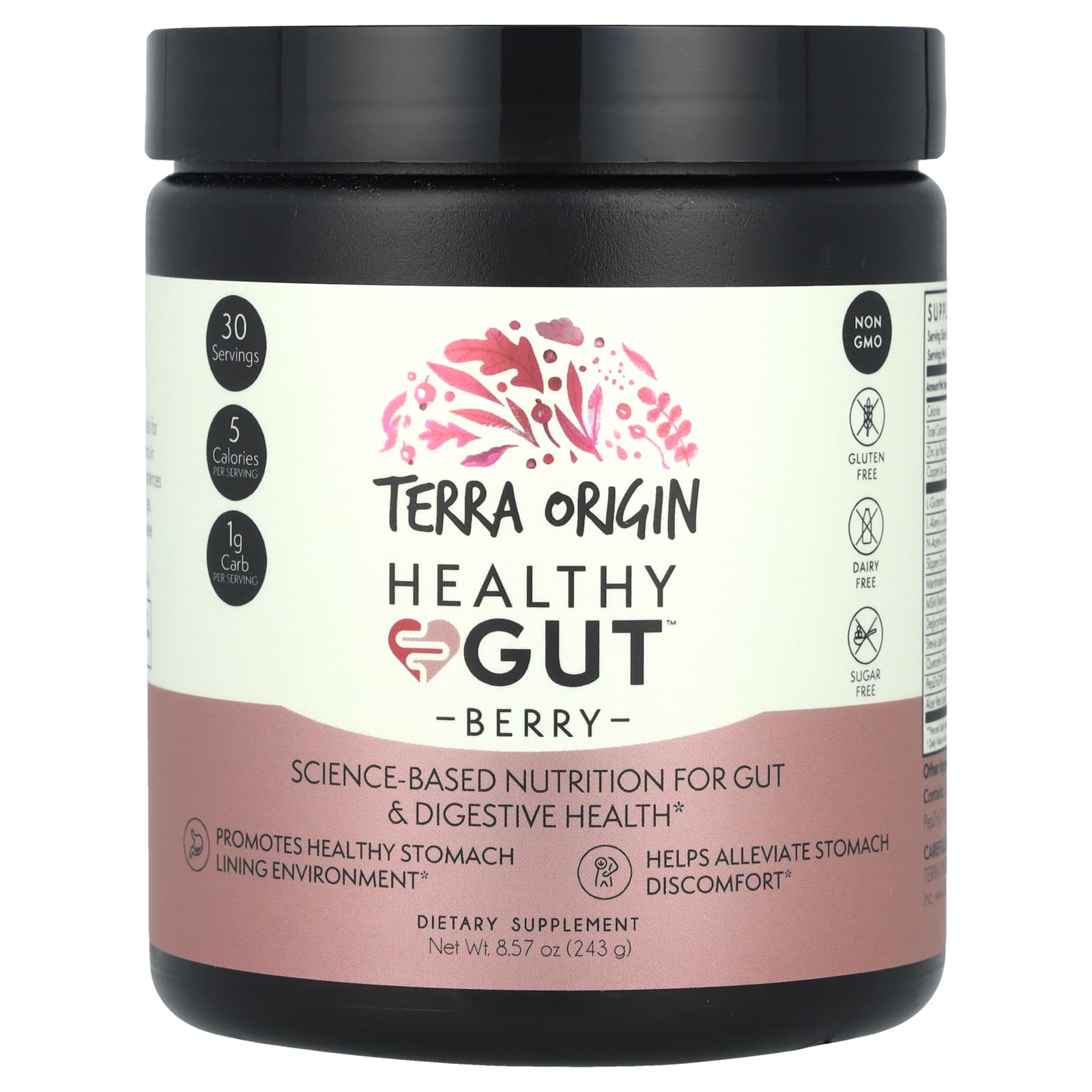Terra Origin, Healthy Gut™, Berry, 8.57 oz (243 g) - Image 1