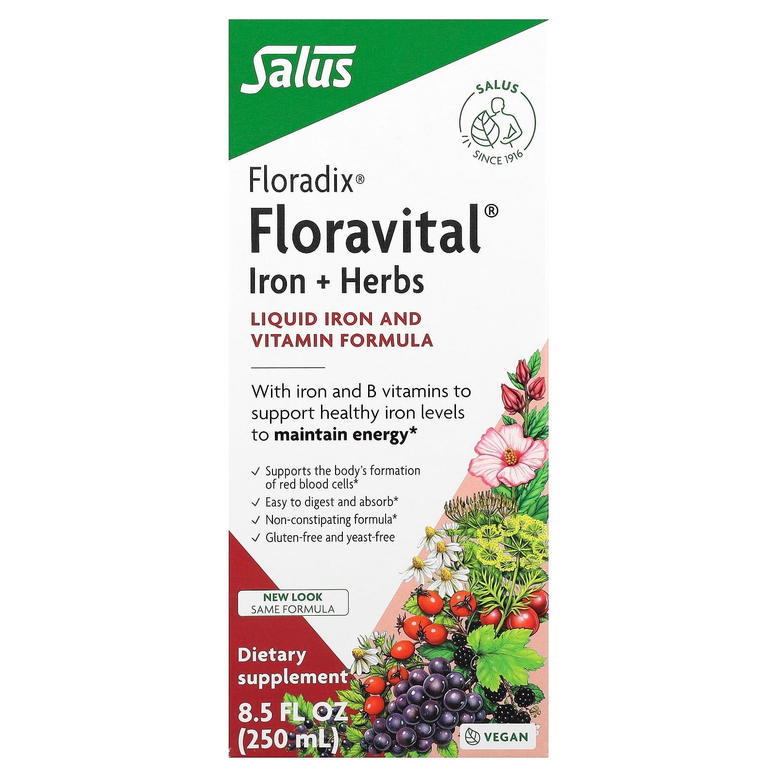 Floradix Floravital Liquid Iron Supplement, 8.5 fl oz (250 ml) - Image 1