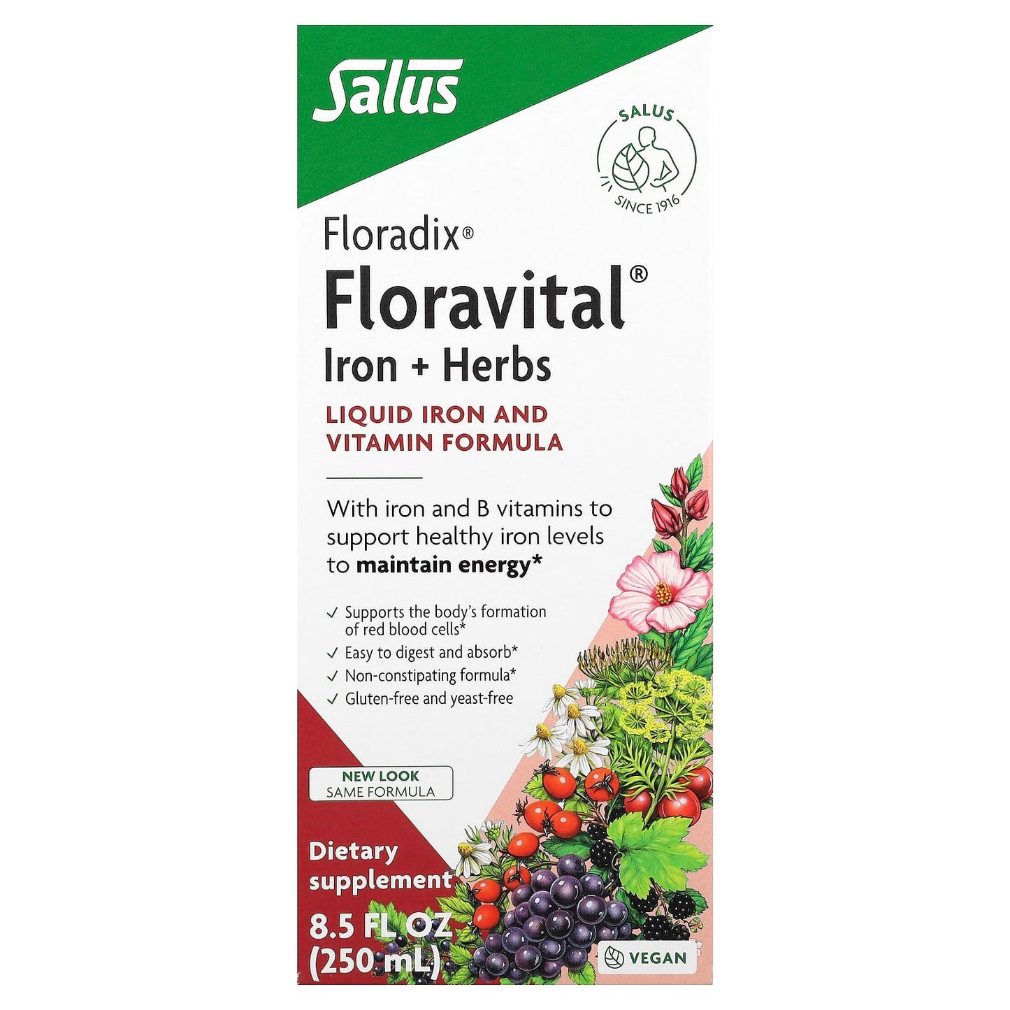 Floradix Floravital Liquid Iron Supplement, 8.5 fl oz (250 ml) - Image 1