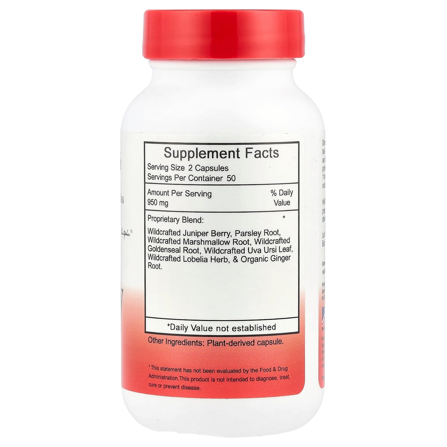 Support Kidney Health with Christopher's Original Formulas - Image 2