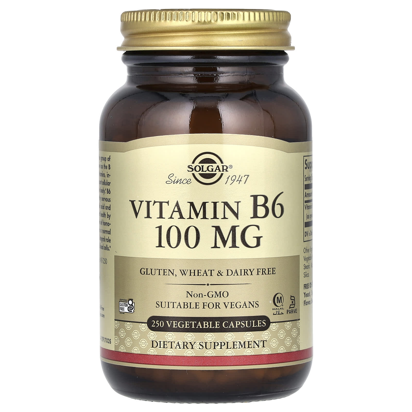 Solgar, Vitamin B6, 100 mg, 250 Vegetable Capsules - Image 1