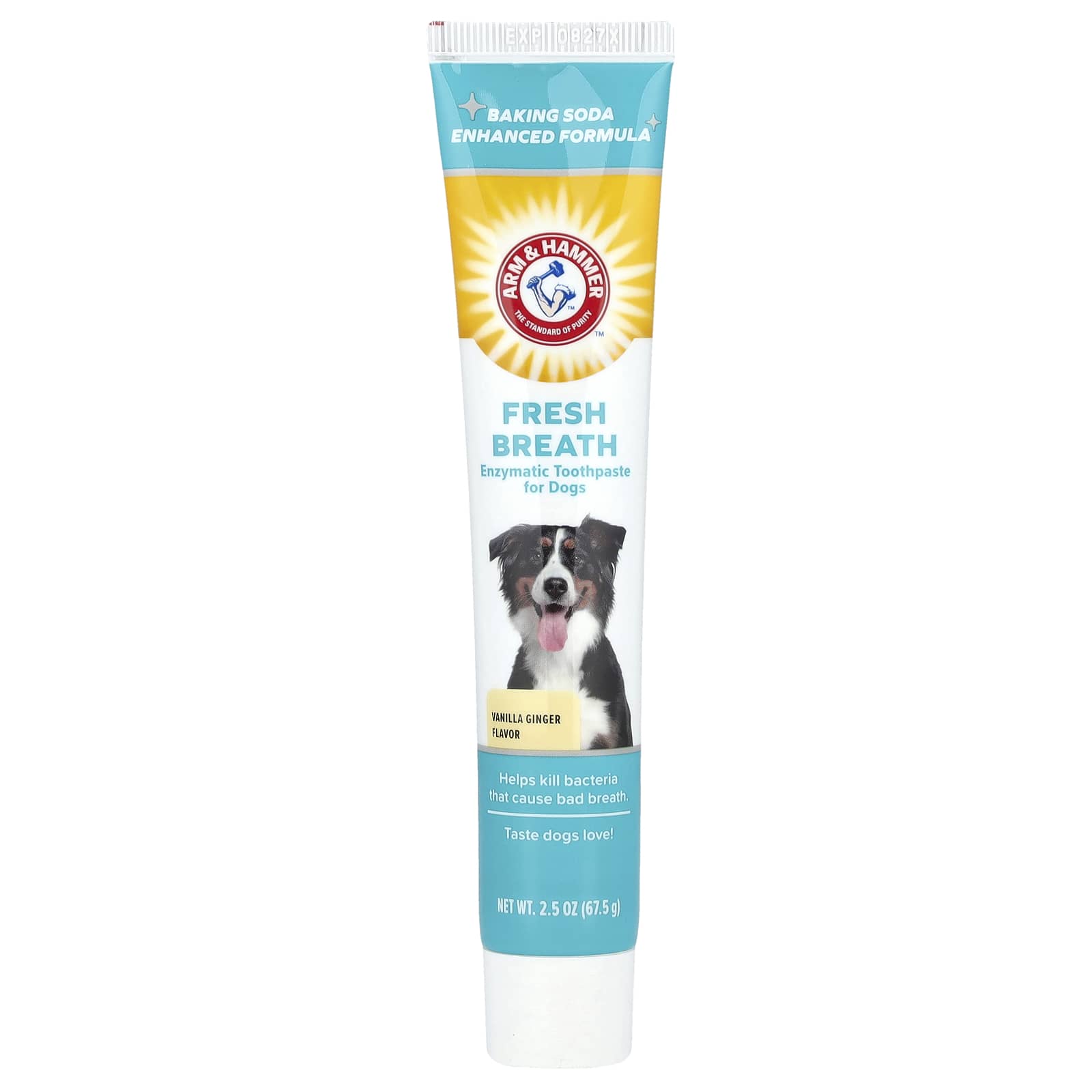 Arm & Hammer Vanilla Ginger Dog Toothpaste for Fresh Breath, 2.5 oz - Image 1