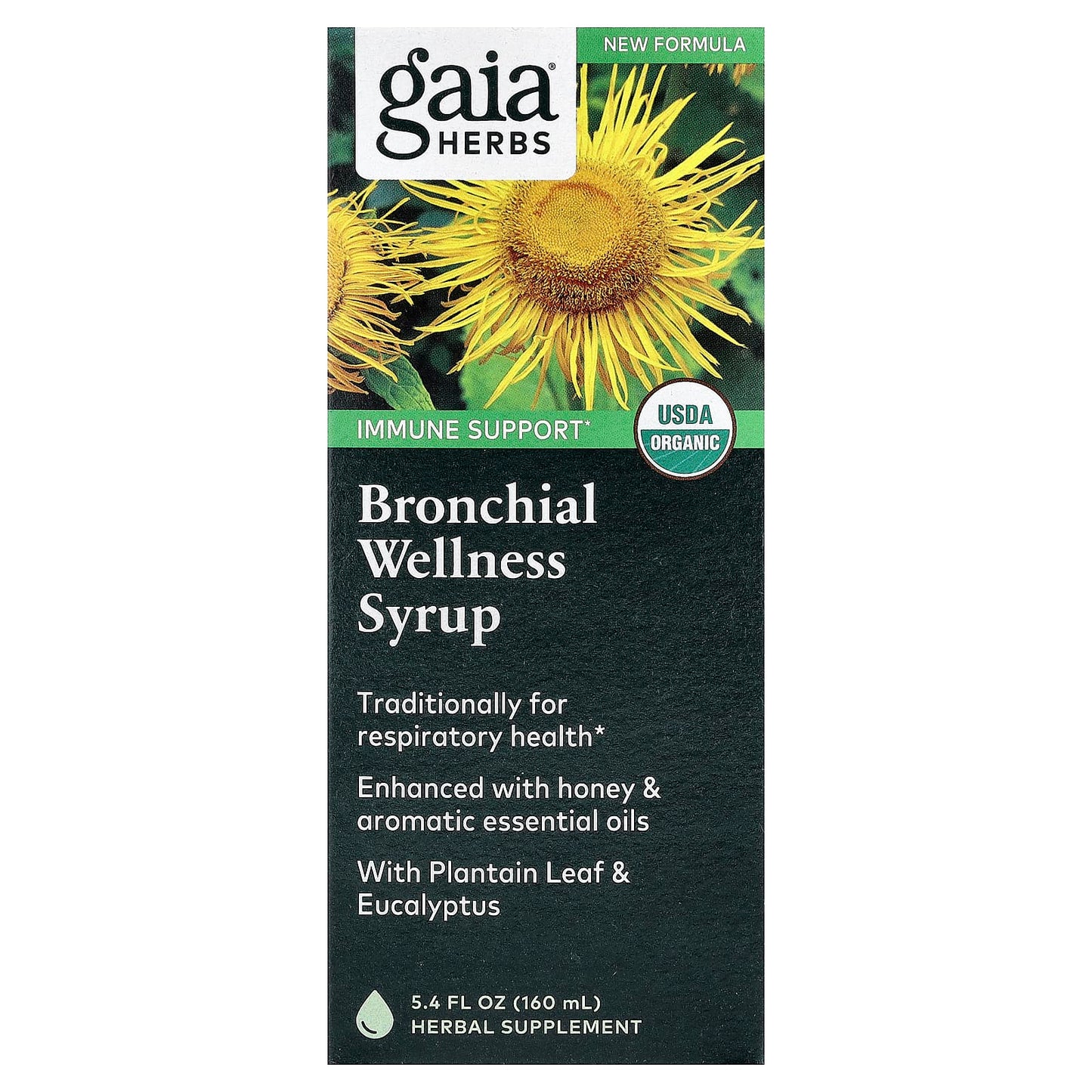 Gaia Herbs Bronchial Wellness Syrup for Respiratory Health, 5.4 fl oz - Image 1