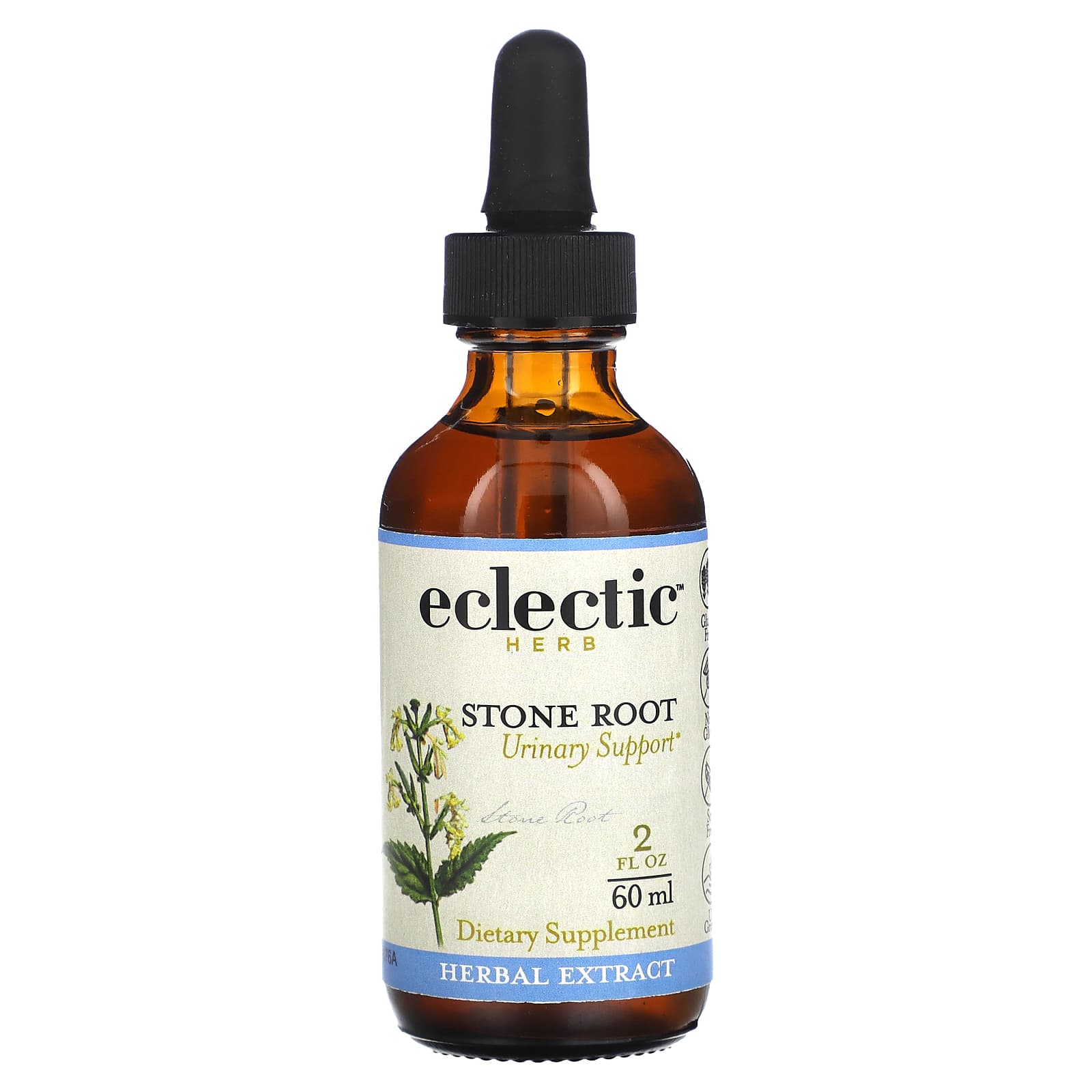 Wildcrafted Stone Root Extract for Urinary Support | 250mg - Image 1