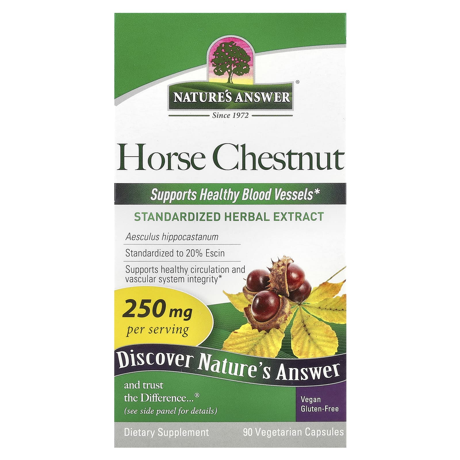 Nature's Answer, Horse Chestnut, 250 mg, 90 Vegetarian Capsules - Image 1
