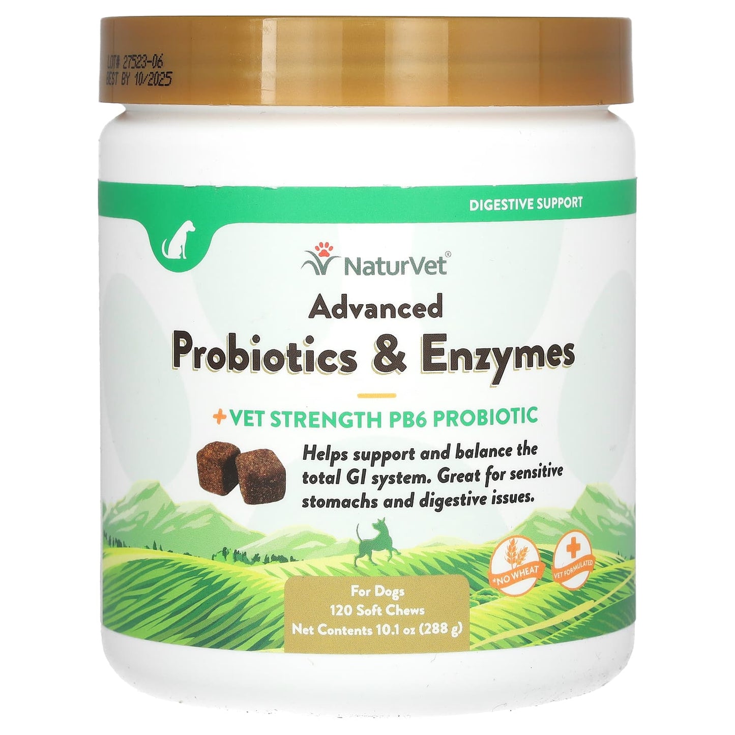 NaturVet, Advanced Probiotics & Enzymes, + Vet Strength PB6 Probiotic, For Dogs, 120 Soft Chews, 10.1 oz (288 g) - Image 1
