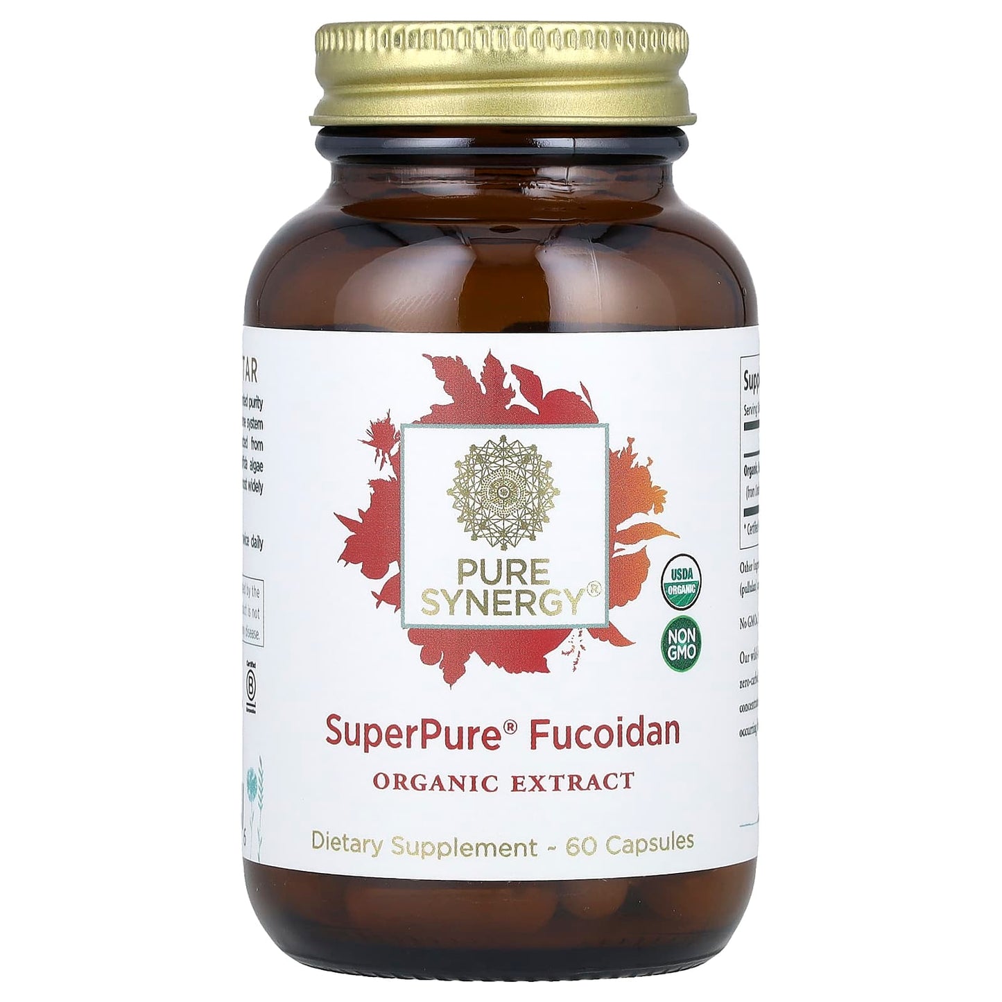 Pure Synergy, SuperPure® Fucoidan, 60 Capsules (100 mg Capsule) - Image 1