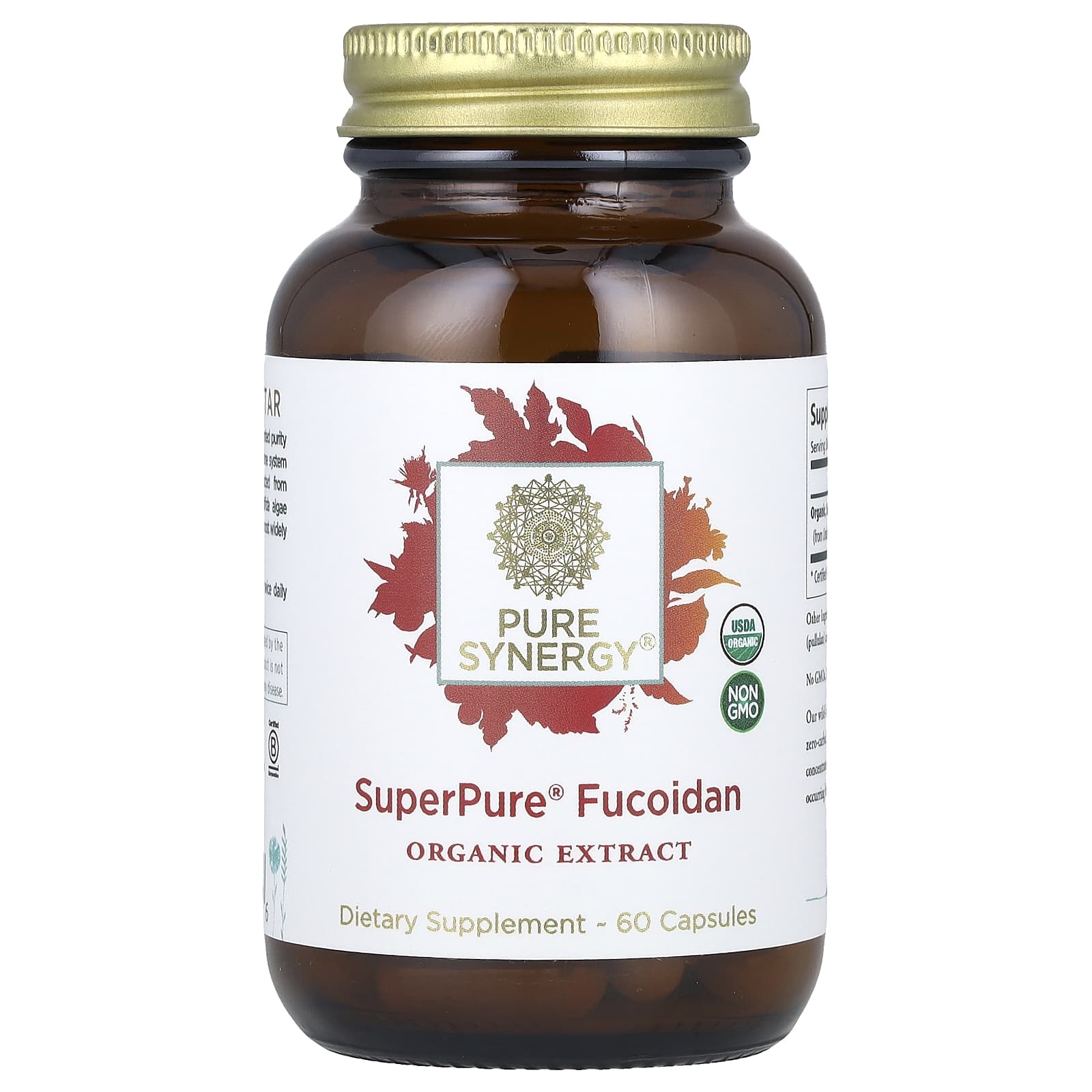 Pure Synergy, SuperPure® Fucoidan, 60 Capsules (100 mg Capsule) - Image 1