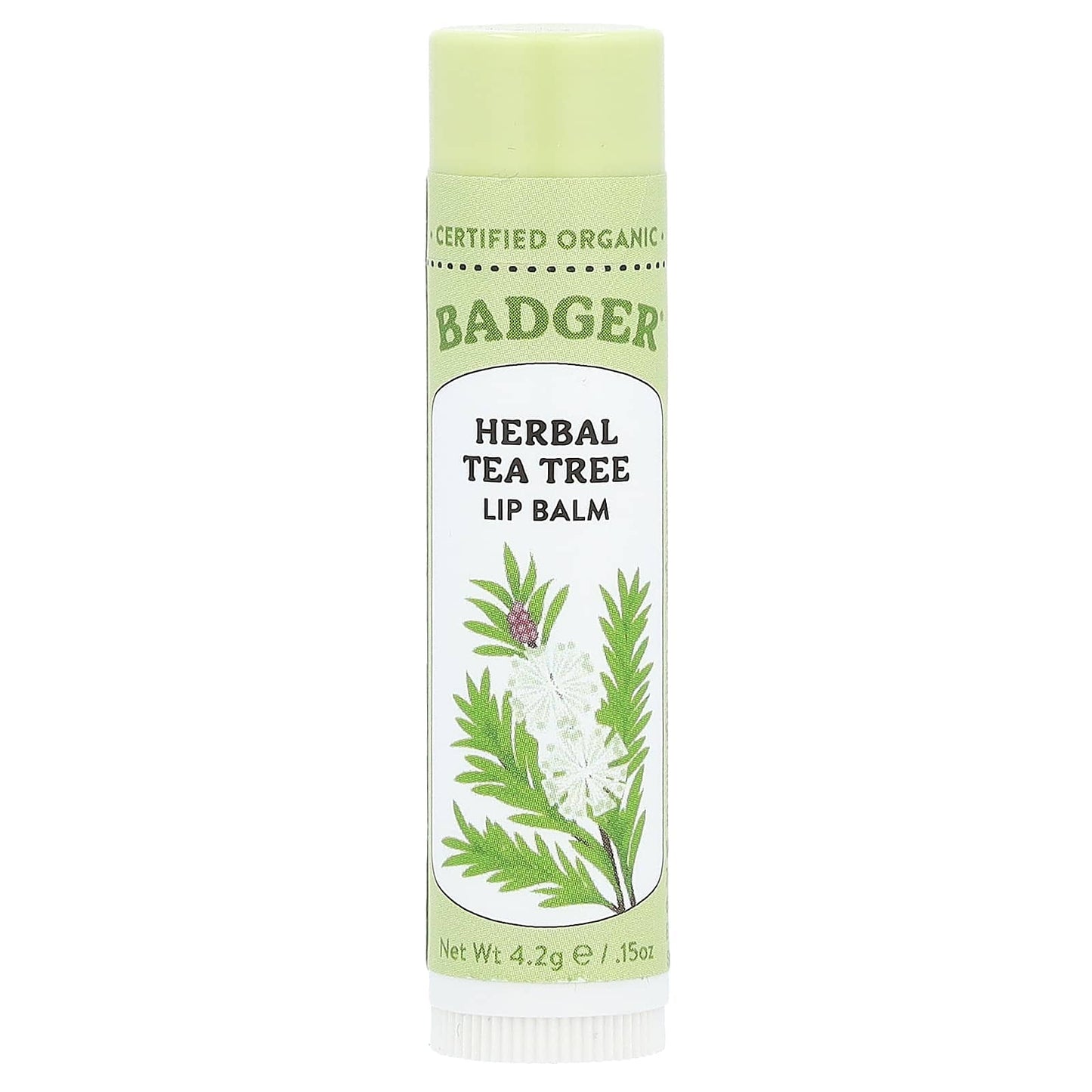 Organic Tea Tree Lip Balm for Soothing Skin - Image 1