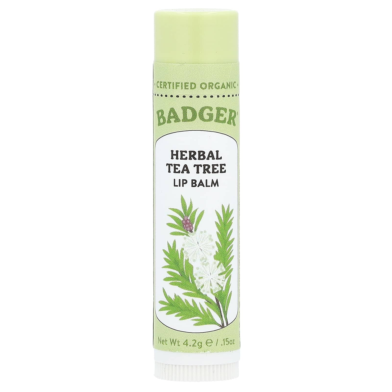 Organic Tea Tree Lip Balm for Soothing Skin - Image 1