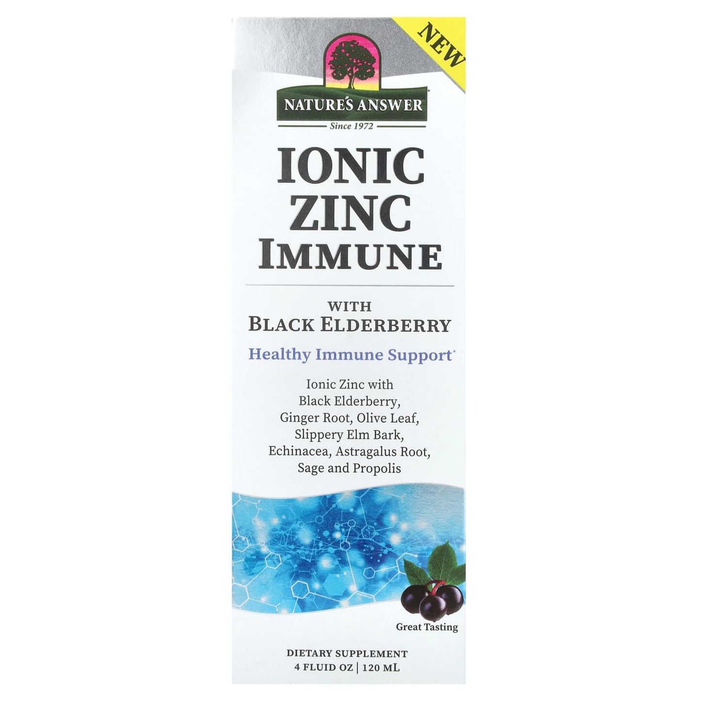 Nature's Answer, Ionic Zinc Immune with Black Elderberry, 4 fl oz (120 ml) - Image 1