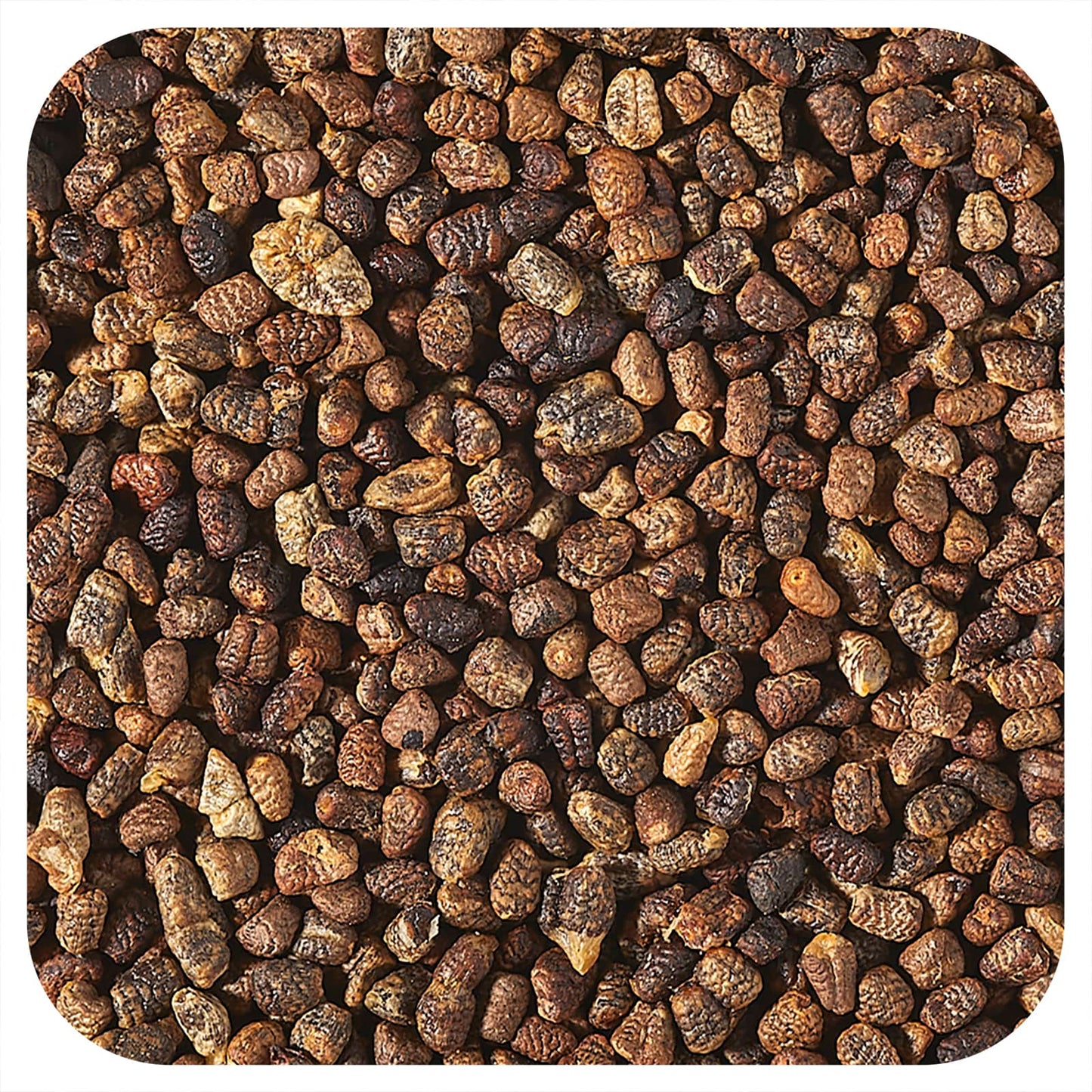 Starwest Botanicals, Organic Cardamom Seeds, 1 lb (453.6 g) - Image 1