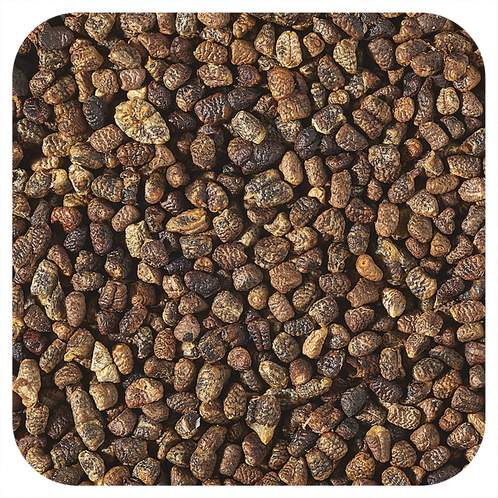 Starwest Botanicals, Organic Cardamom Seeds, 1 lb (453.6 g) - Image 1