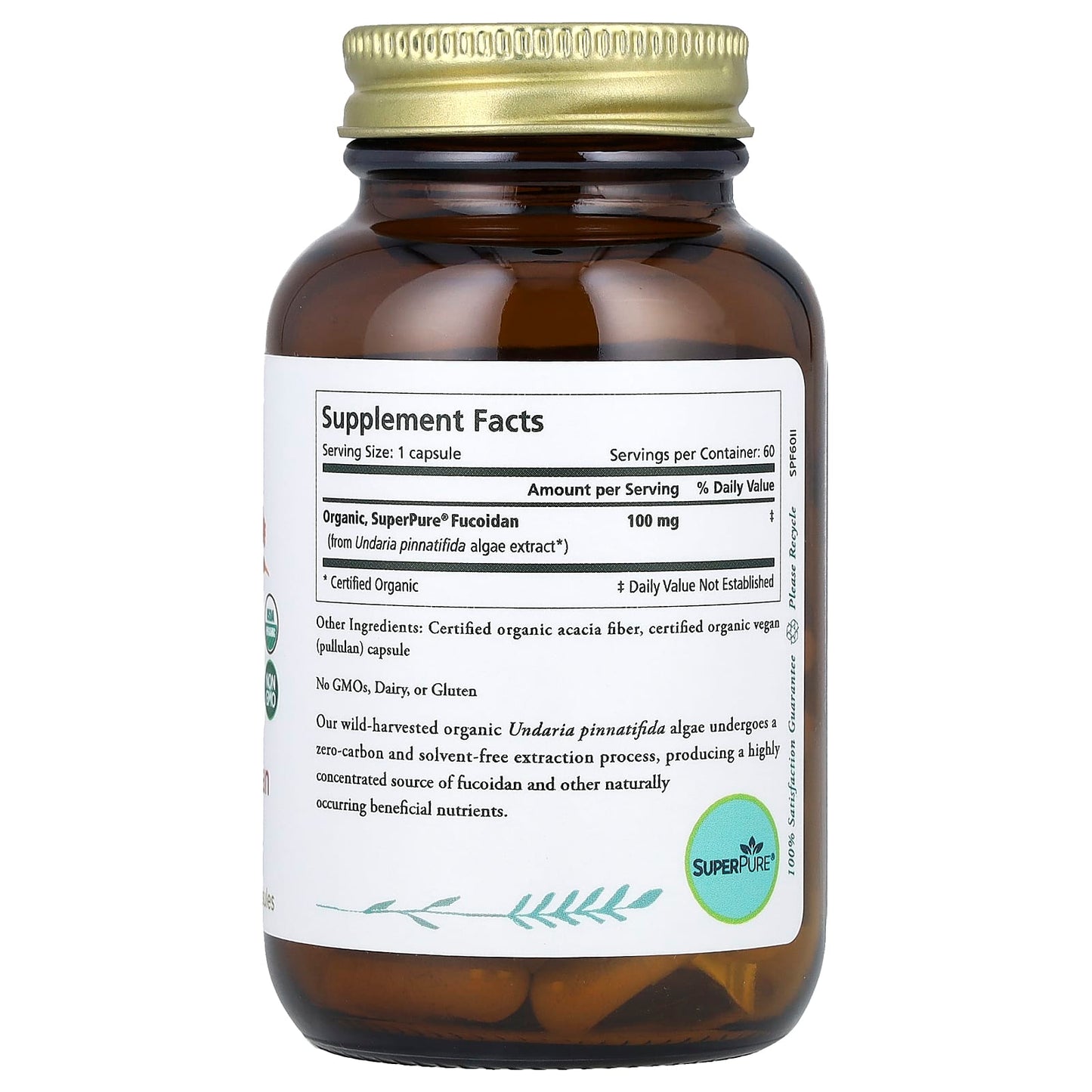 Pure Synergy, SuperPure® Fucoidan, 60 Capsules (100 mg Capsule) - Image 2
