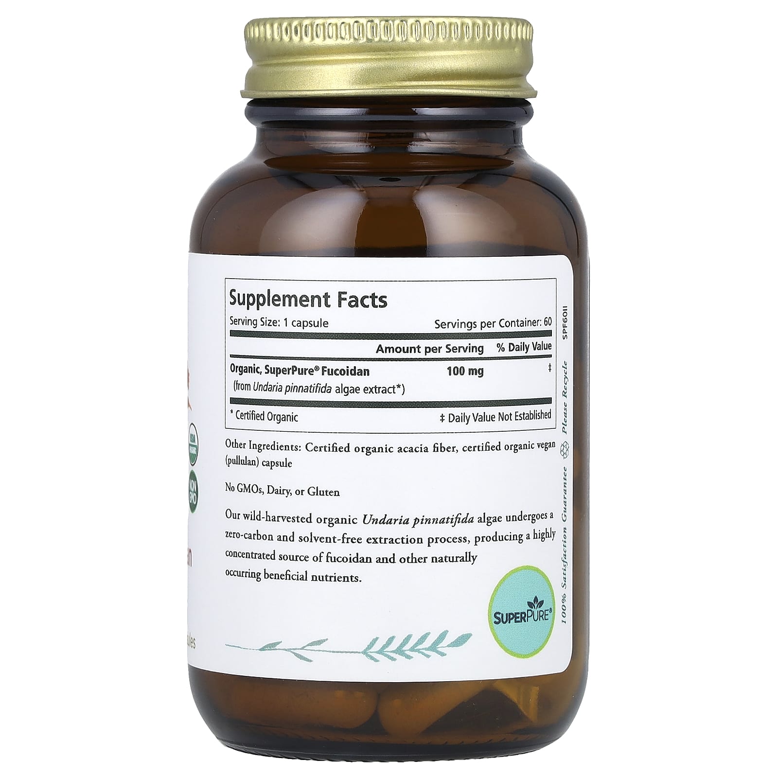Pure Synergy, SuperPure® Fucoidan, 60 Capsules (100 mg Capsule) - Image 2
