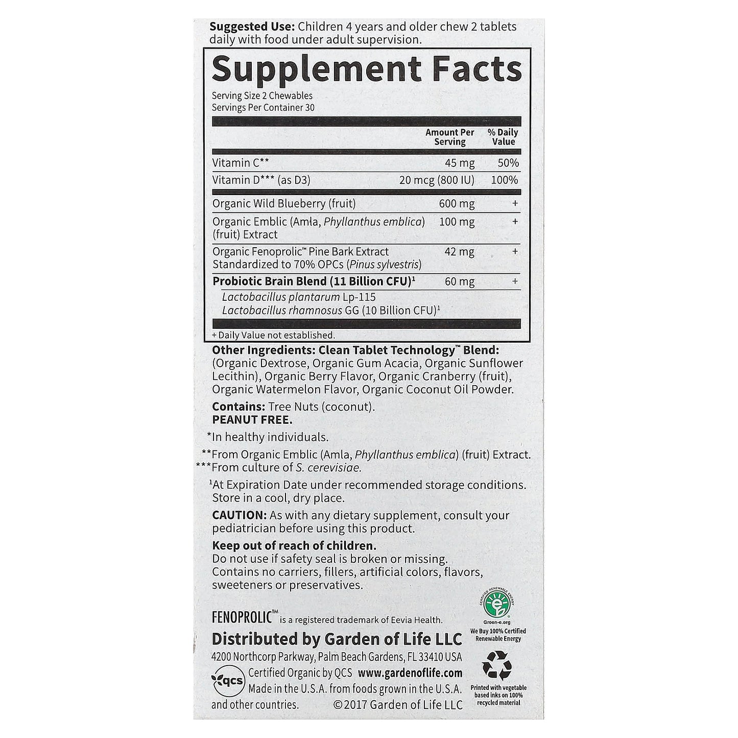 Dr. Formulated Brain Health for Kids: USDA Organic & Non GMO - Image 2