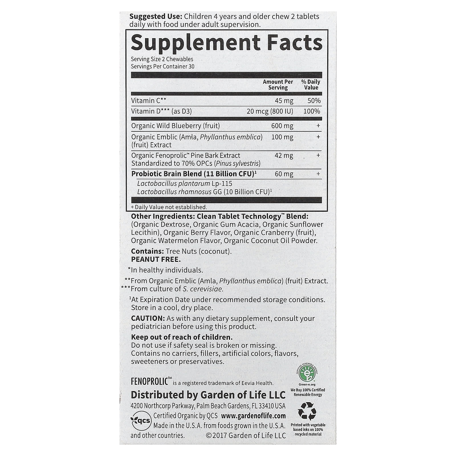 Dr. Formulated Brain Health for Kids: USDA Organic & Non GMO - Image 2