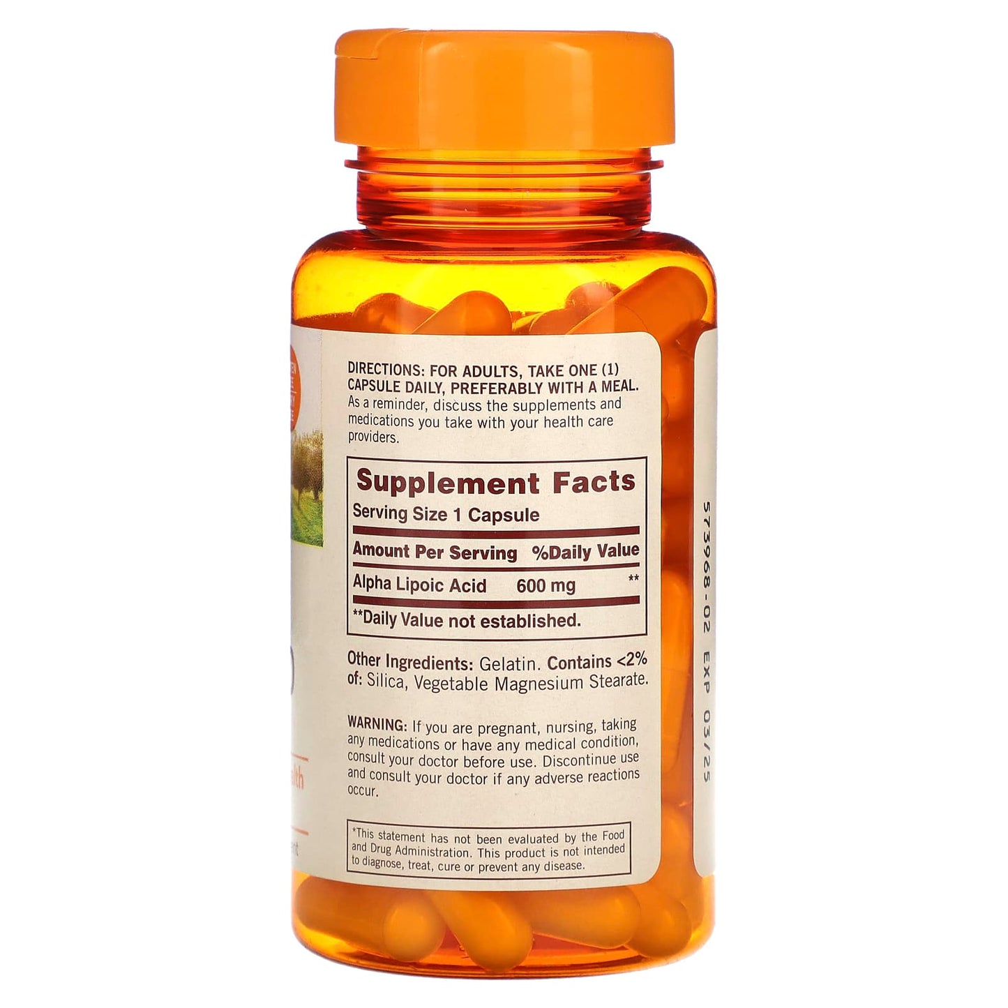 Sundown Naturals, Alpha Lipoic Acid, 600 mg, 60 Capsules - Image 2