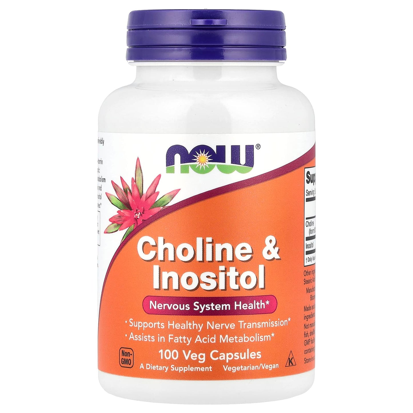 NOW Foods, Choline & Inositol, 100 Veg Capsules - Image 1