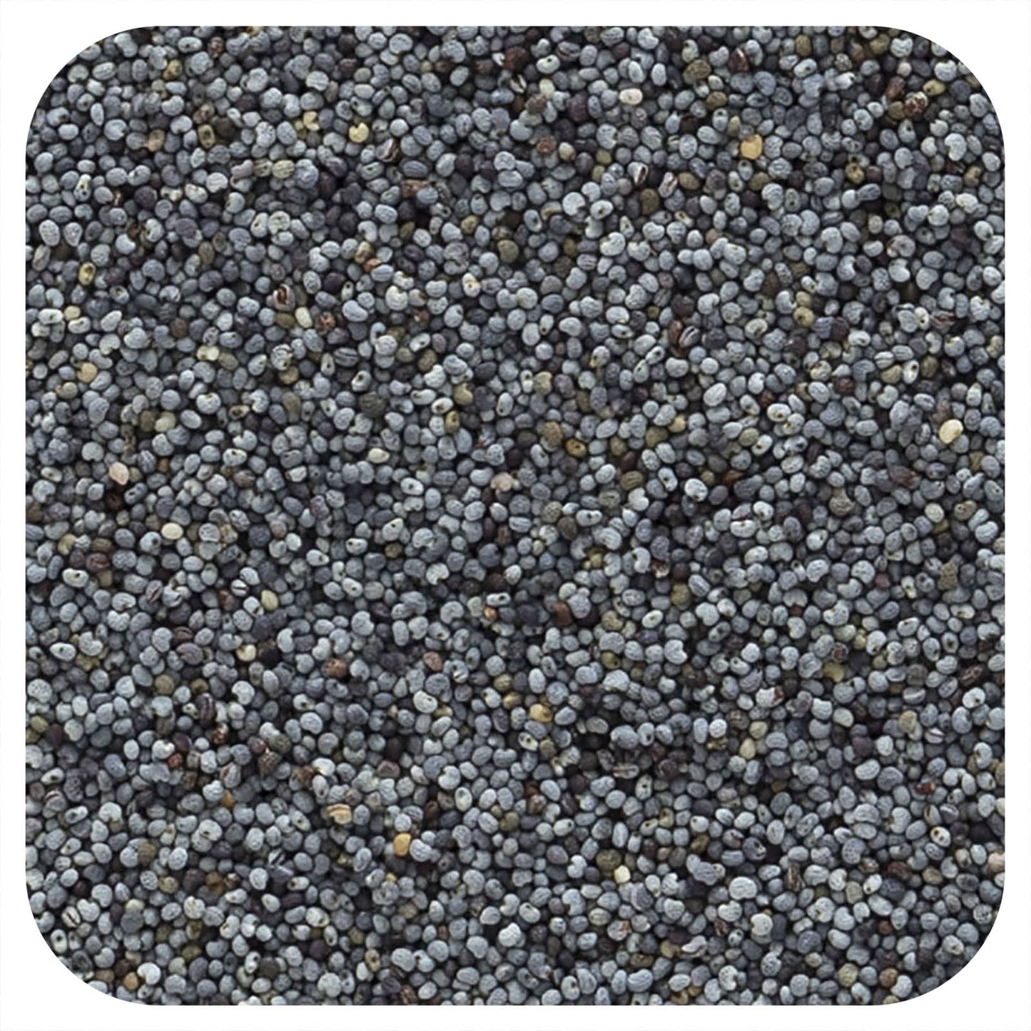 Organic Whole Poppy Seed by Frontier Co-op - 16 oz - Image 1