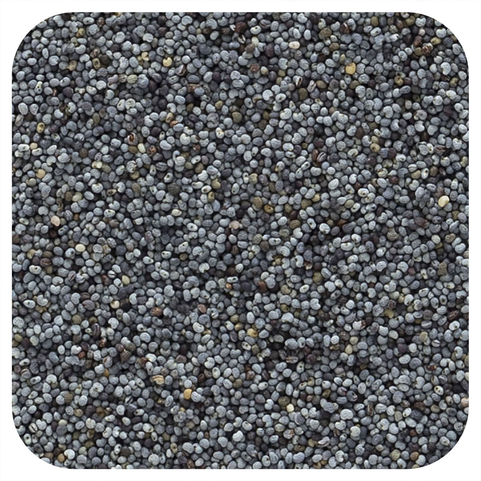 Organic Whole Poppy Seed by Frontier Co-op - 16 oz - Image 1