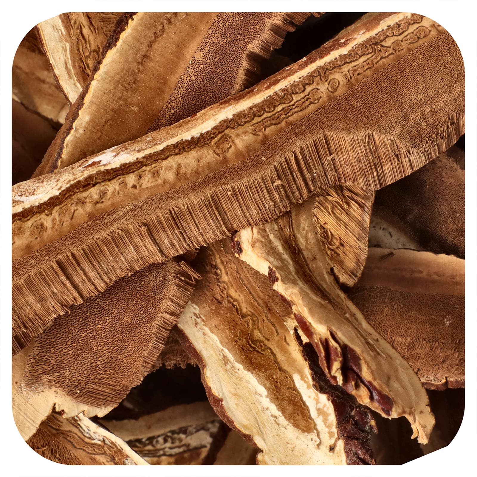 Organic Reishi Mushroom Slices for Immunity & Wellness - 4 oz (113g) - Image 1