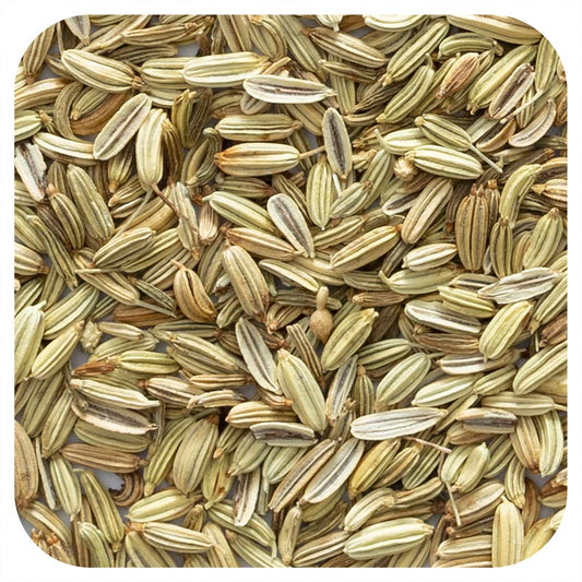 Organic Whole Fennel Seed - Frontier Co-op, 16 oz - Image 1
