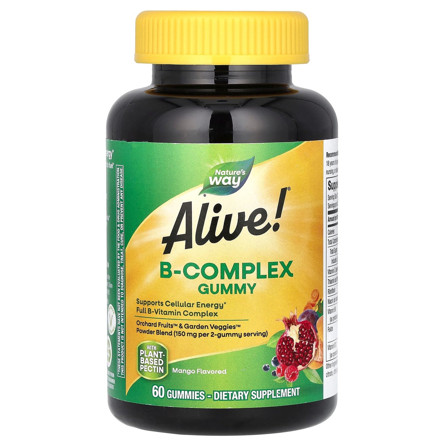 Nature's Way, Alive! B-Complex Gummy, Mango, 60 Gummies - Image 1