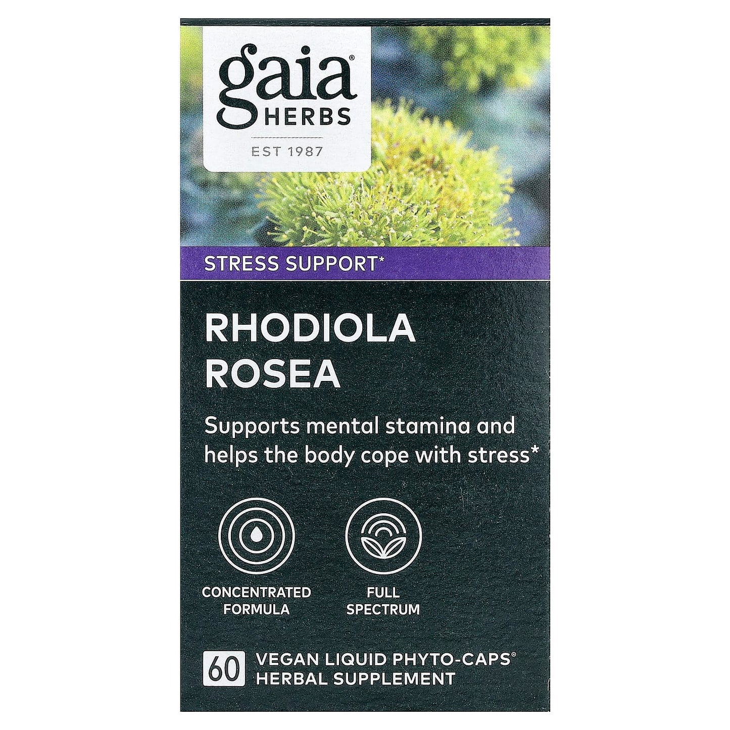 Gaia Herbs Rhodiola Rosea for Stress Relief & Mental Clarity - 60 Capsules - Image 1