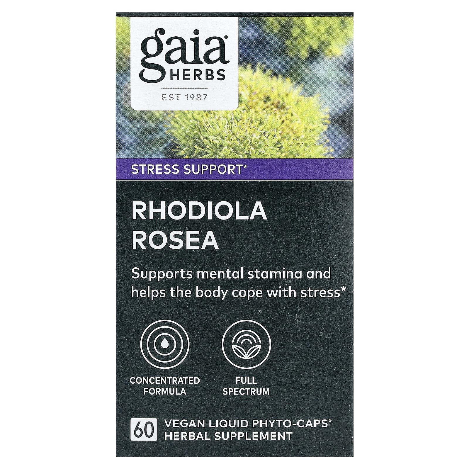 Gaia Herbs Rhodiola Rosea for Stress Relief & Mental Clarity - 60 Capsules - Image 1