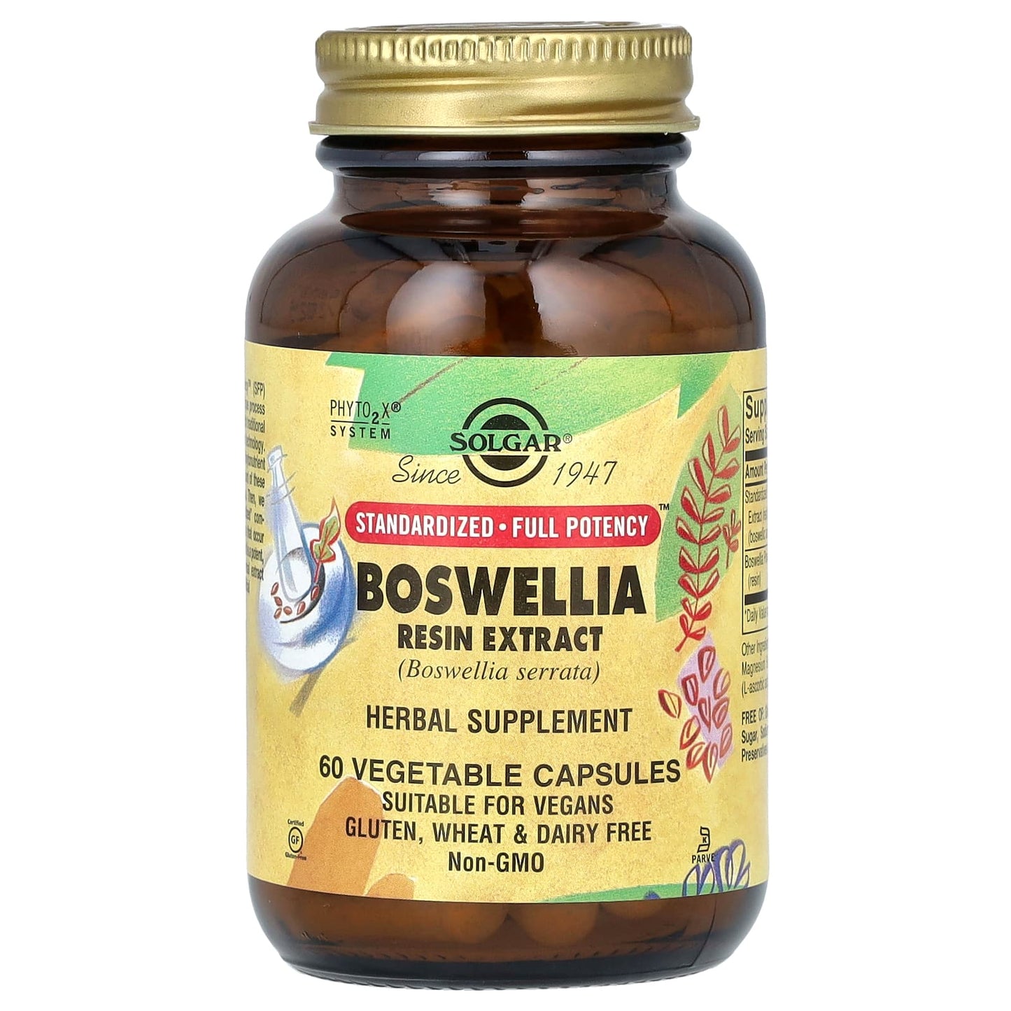 Solgar, Boswellia Resin Extract, 60 Vegetable Capsules - Image 1
