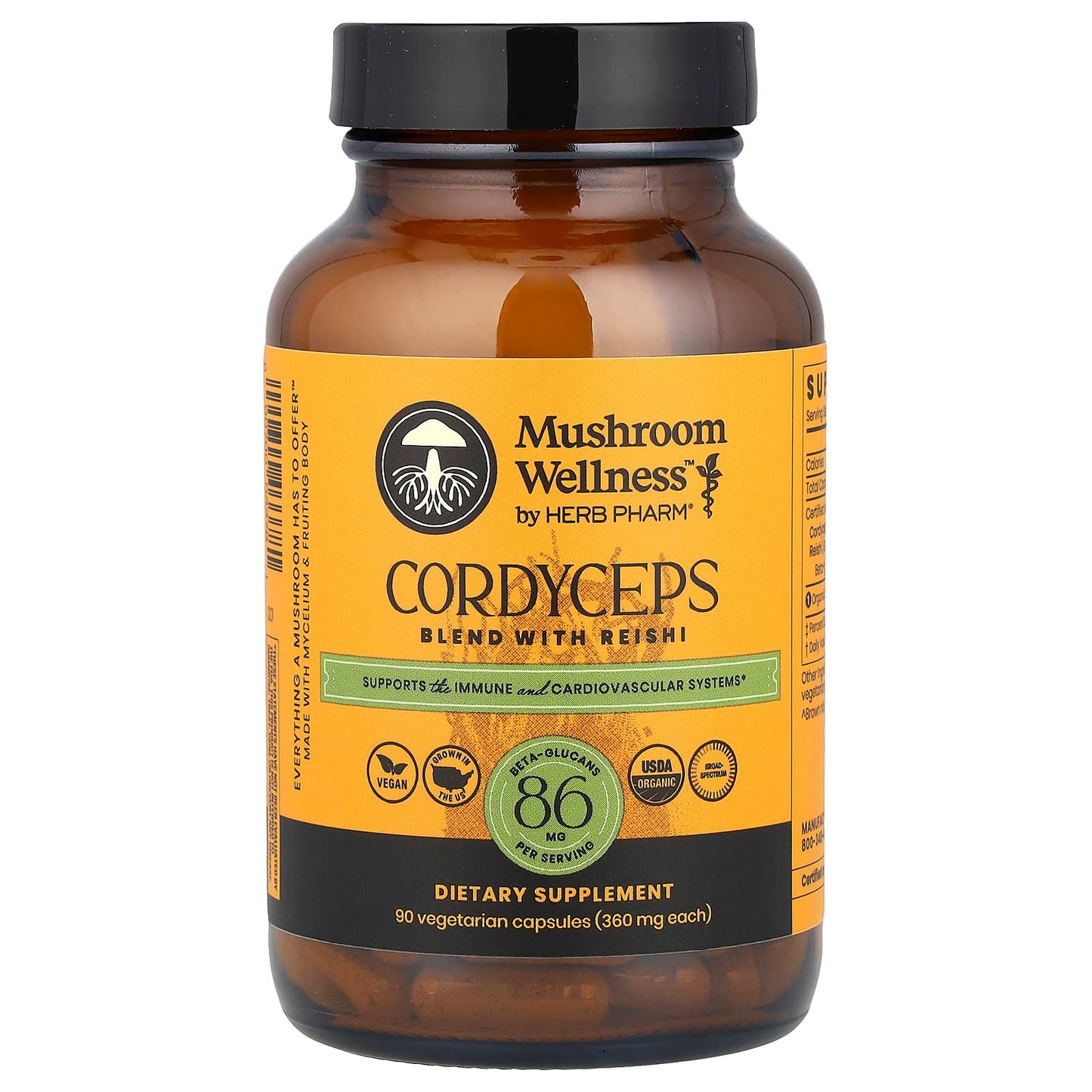 Boost Immunity with Cordyceps & Reishi Mushroom Blend - Image 1