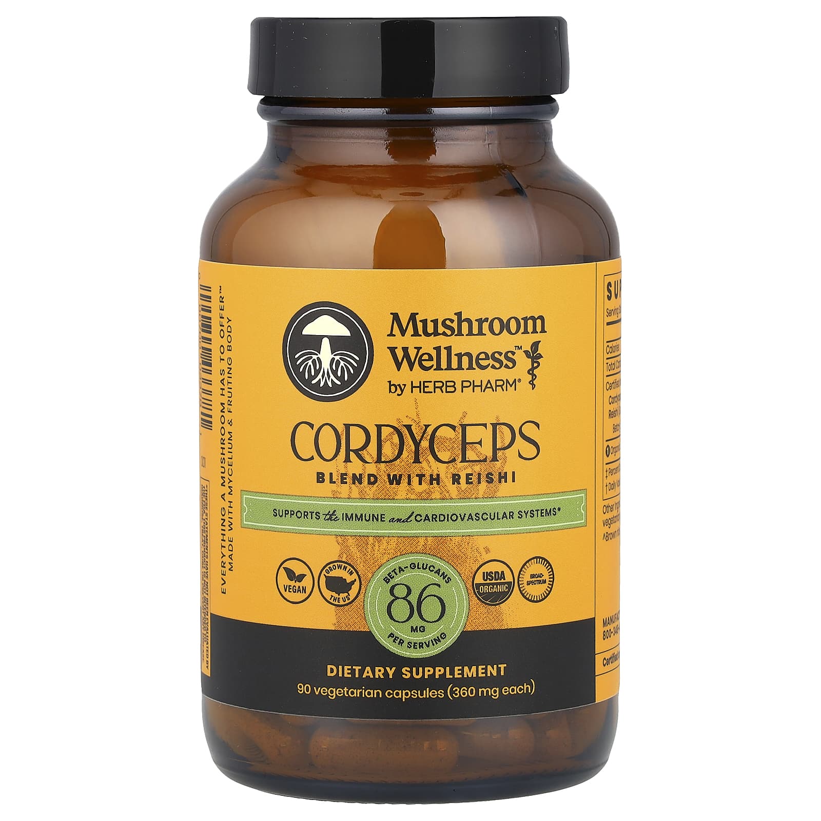 Boost Immunity with Cordyceps & Reishi Mushroom Blend - Image 1