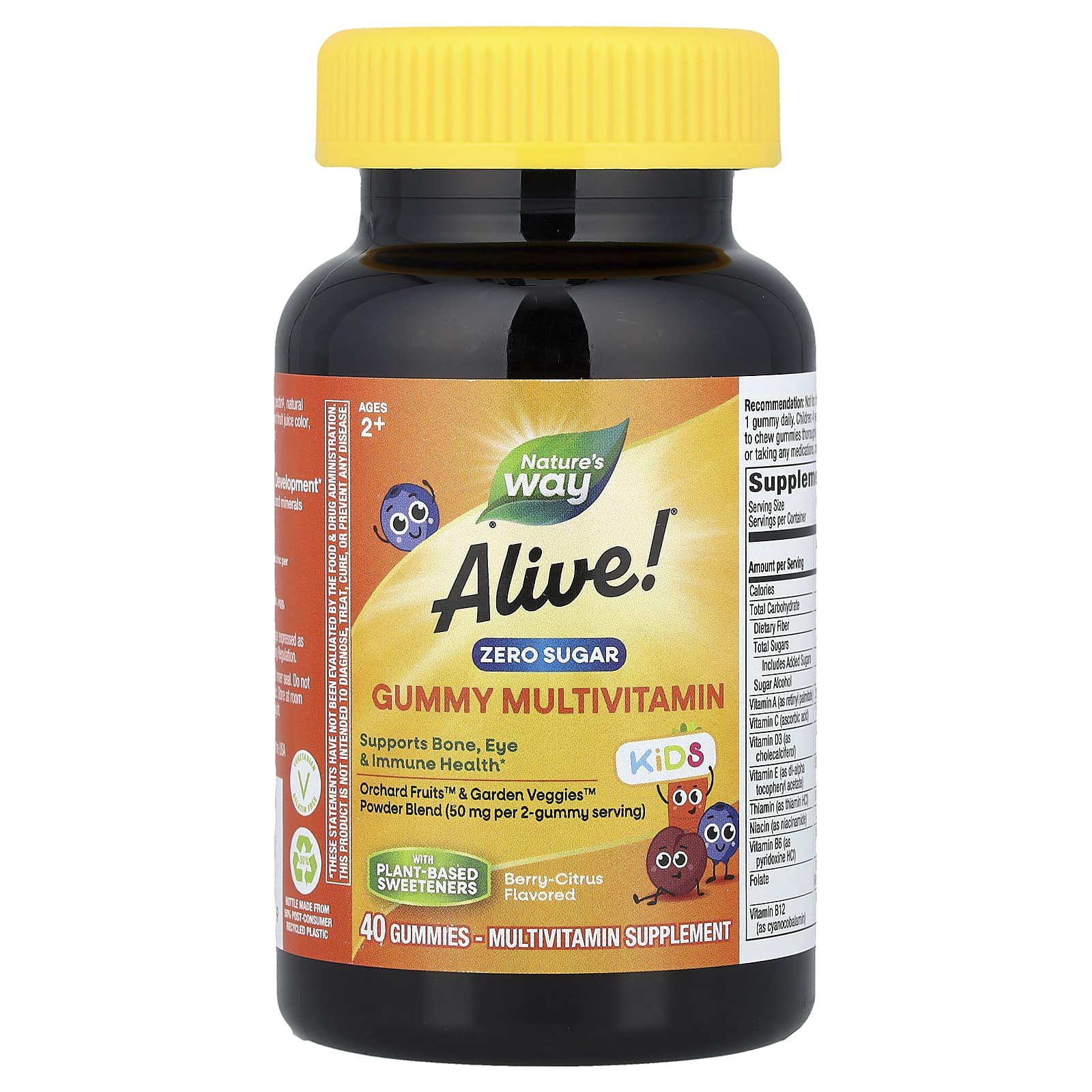 Nature's Way, Alive!® Kids, Zero Sugar Gummy Multivitamin, Ages 2+, Berry-Citrus, 40 Gummies
