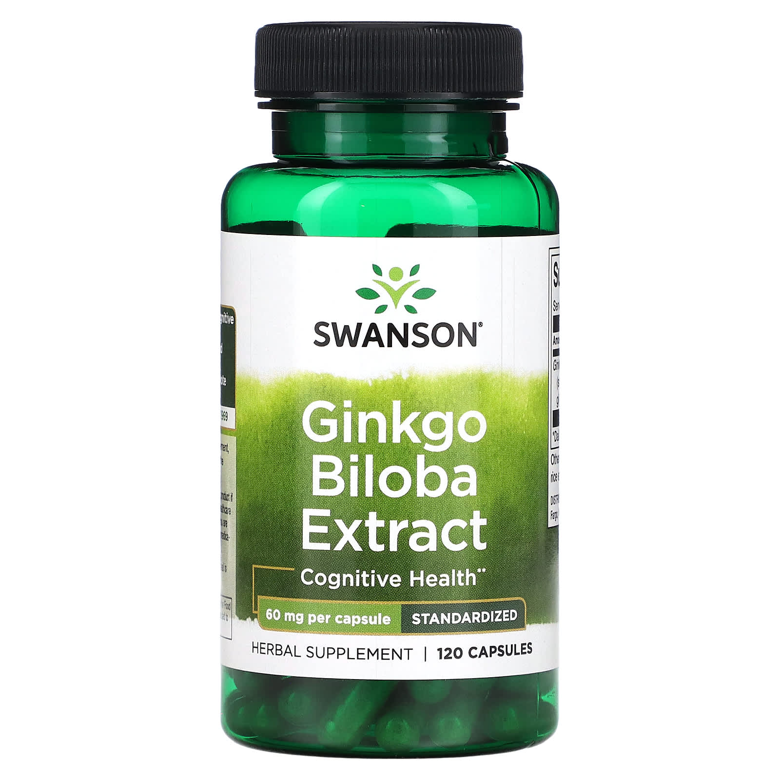 Swanson, Ginkgo Biloba Extract, 60 mg, 120 Capsules - Image 1