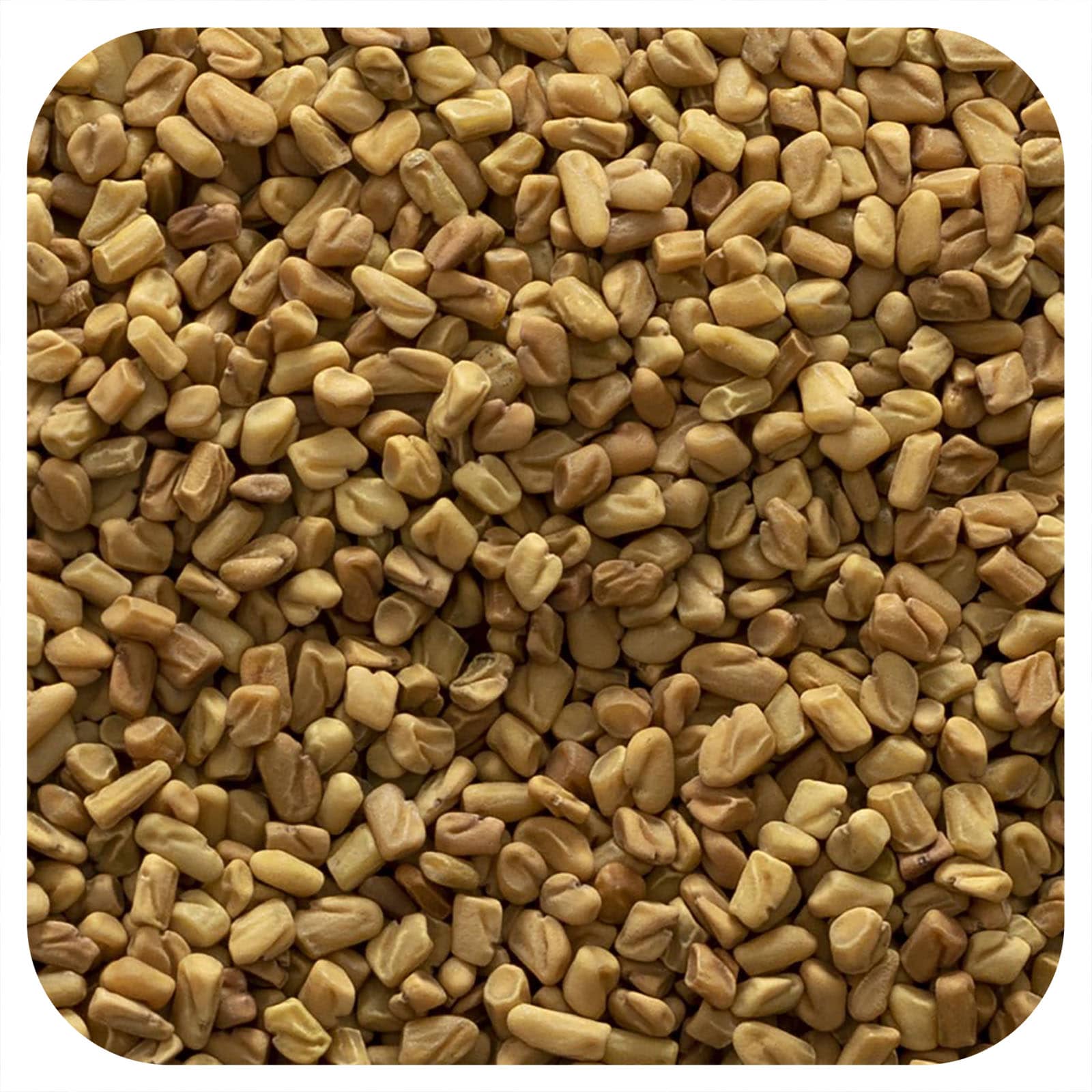 Organic Fenugreek Seeds Bulk | Frontier Co-op - Image 1