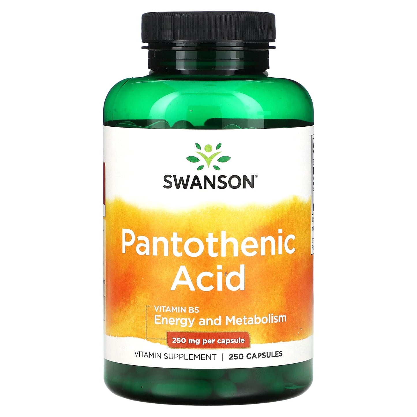 Swanson, Pantothenic Acid with Vitamin B5, 250 mg, 250 Capsules - Image 1