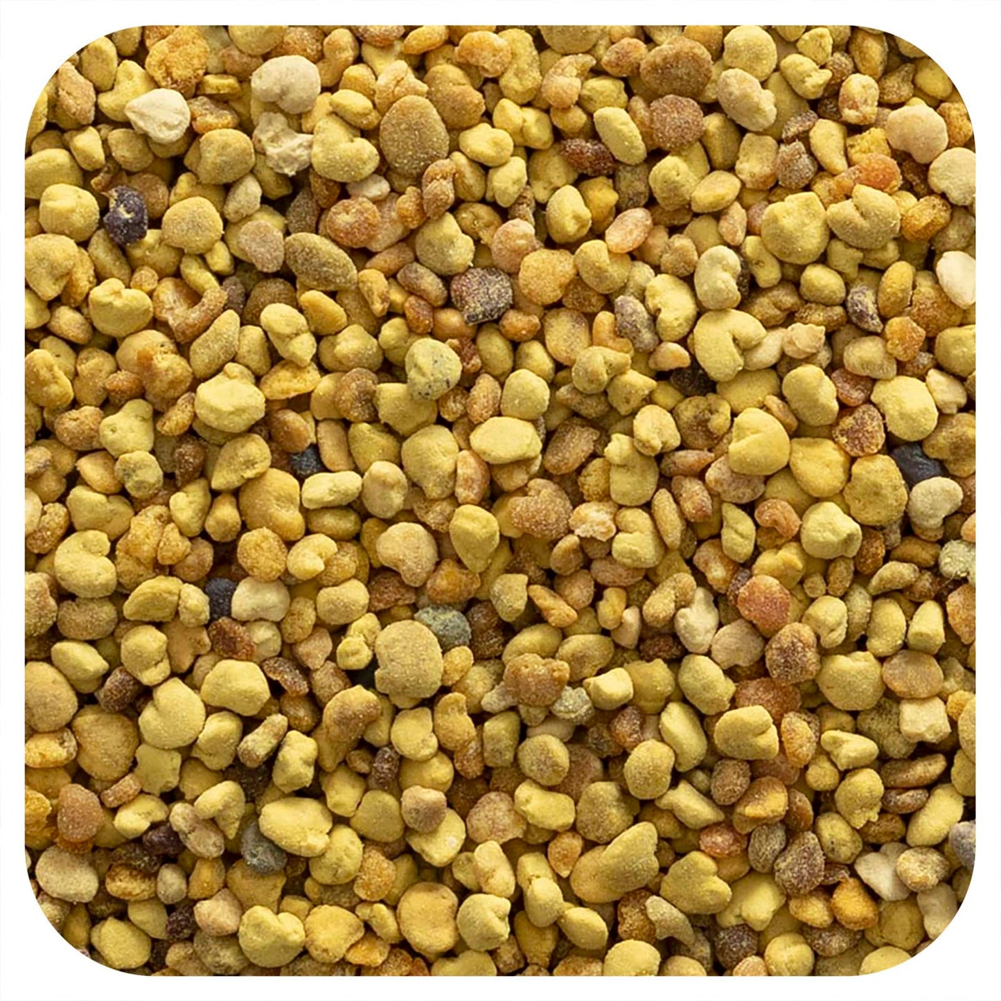 Frontier Co-op Bee Pollen Granules - 16 oz - Raw & Kosher - Image 1