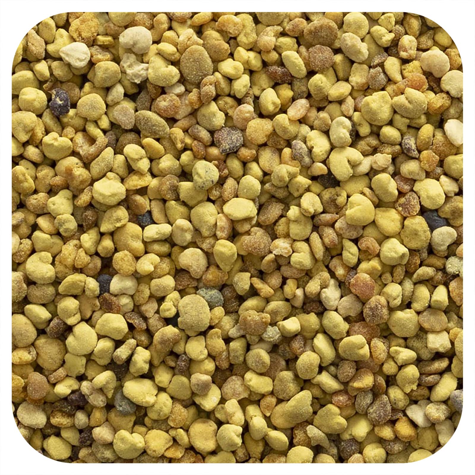 Frontier Co-op Bee Pollen Granules - 16 oz - Raw & Kosher - Image 1