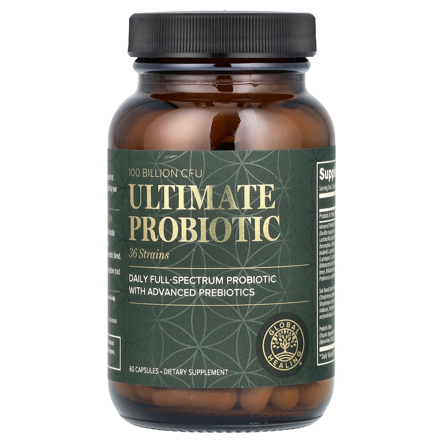 Unlock Optimal Digestion with Global Healing's 100 Billion CFU Probiotic - Image 1