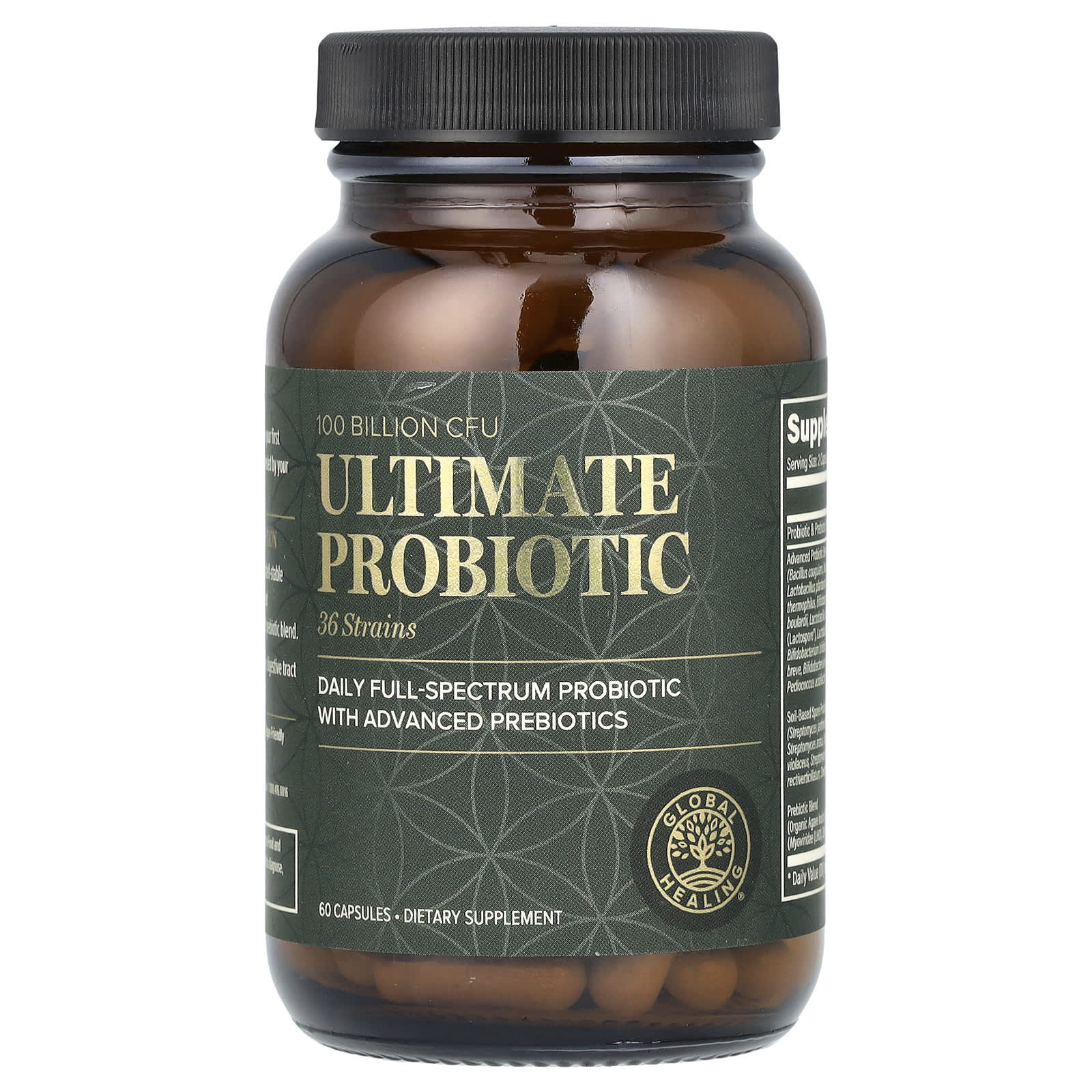 Unlock Optimal Digestion with Global Healing's 100 Billion CFU Probiotic - Image 1