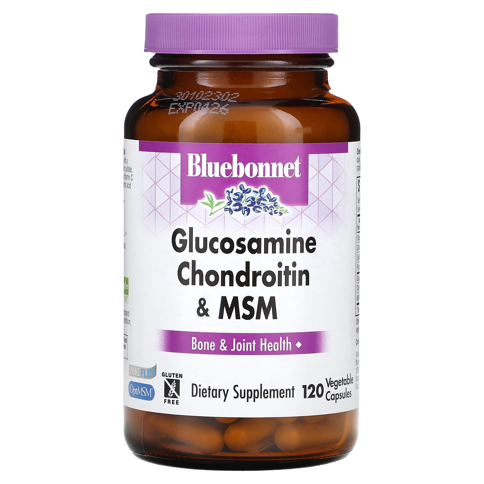 Glucosamine Chondroitin & MSM for Joint Health | 120 Capsules - Image 1