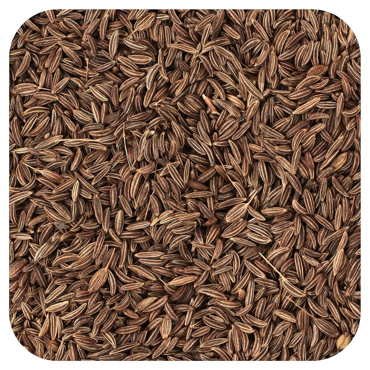 Frontier Co-op Organic Caraway Seeds 16 oz (453g) - Whole, Non-Irradiated - Image 1