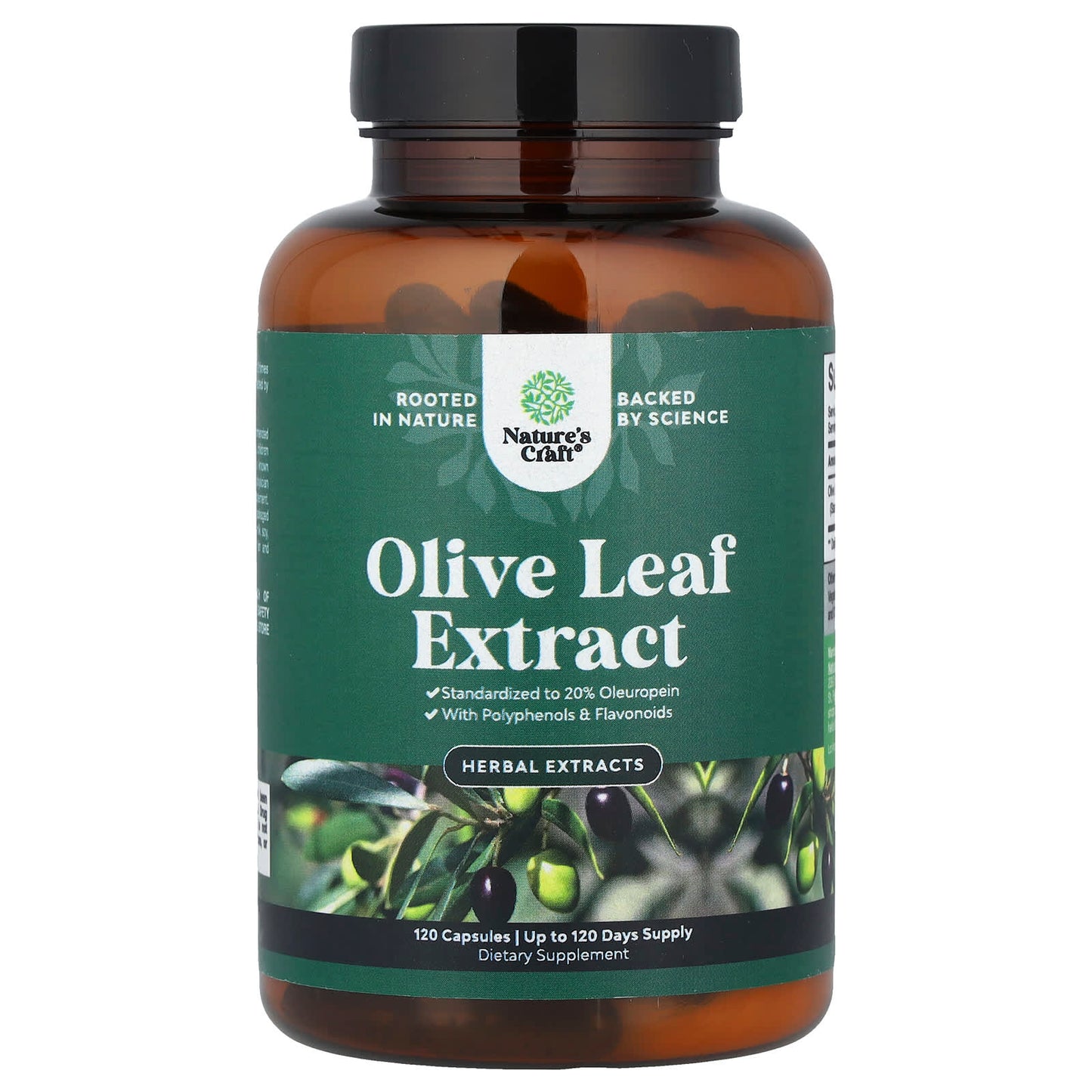 Nature's Craft, Olive Leaf Extract, 750 mg, 120 Capsules - Image 1