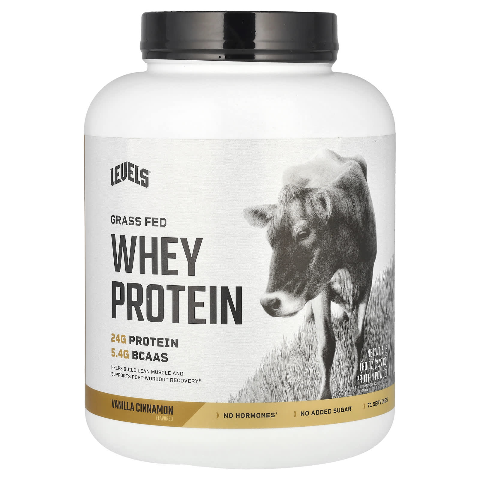 Levels, Grass Fed Whey Protein Powder, Vanilla Cinnamon, 5 lb (2.27 kg) - Image 1