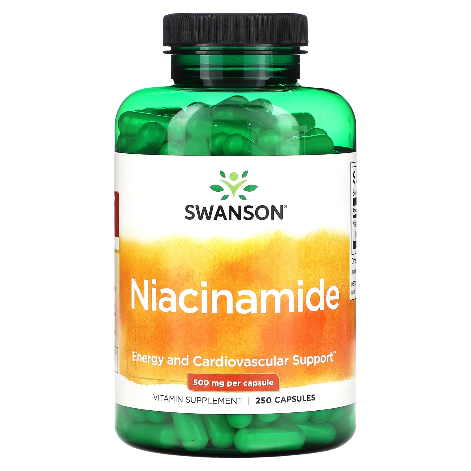 Swanson, Niacinamide, 500 mg, 250 Capsules - Image 1