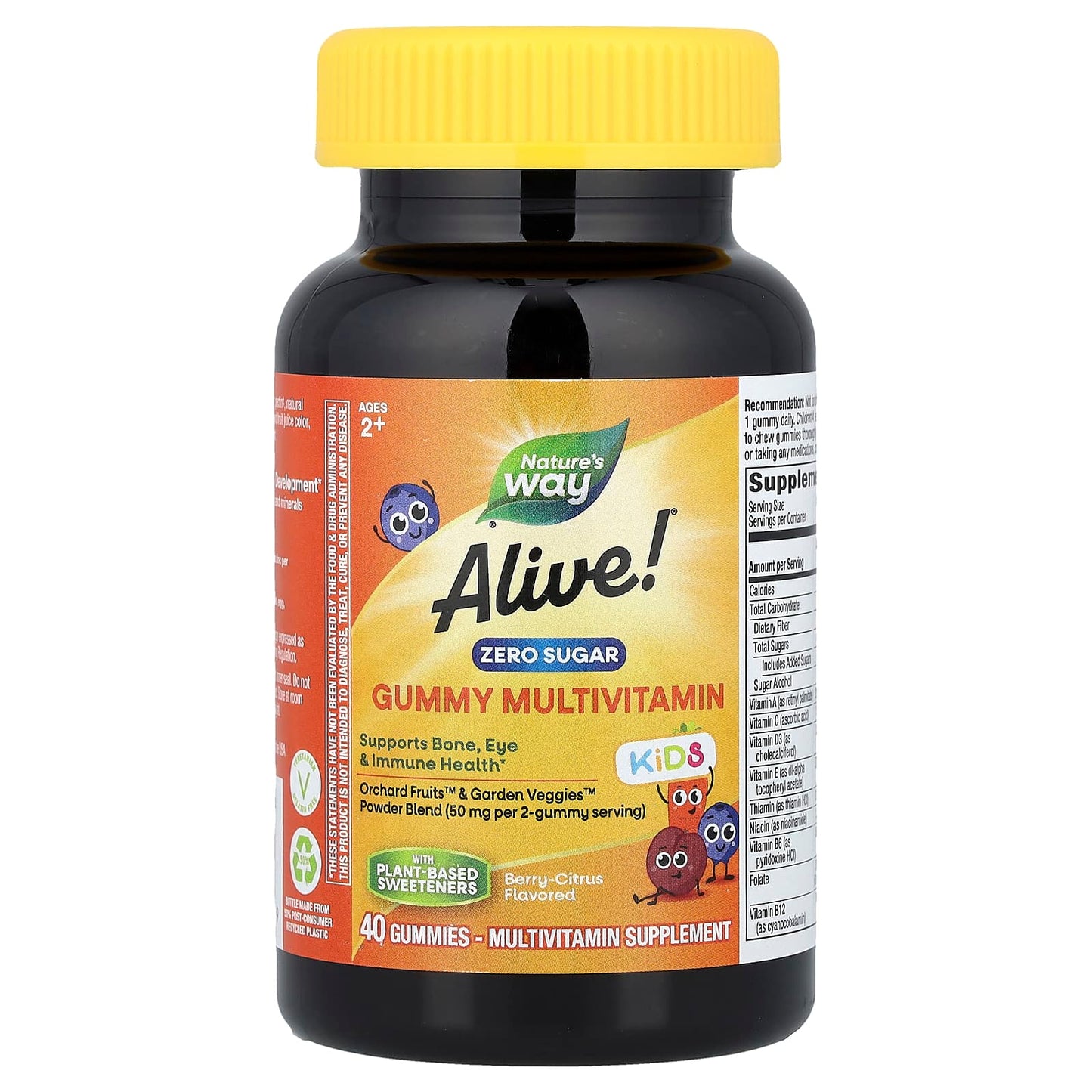 Nature's Way, Alive!® Kids, Zero Sugar Gummy Multivitamin, Ages 2+, Berry-Citrus, 40 Gummies - Image 1